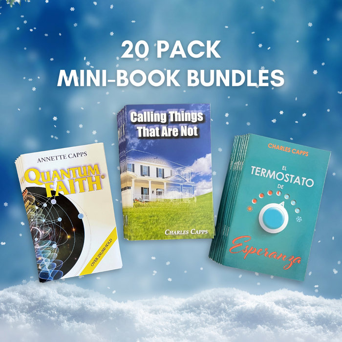 Annual Christmas 20 Pack Mini-Book Bundle Sale!